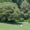 2008_05_ireland_050.JPG