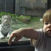 thomas_11to22_032.JPG